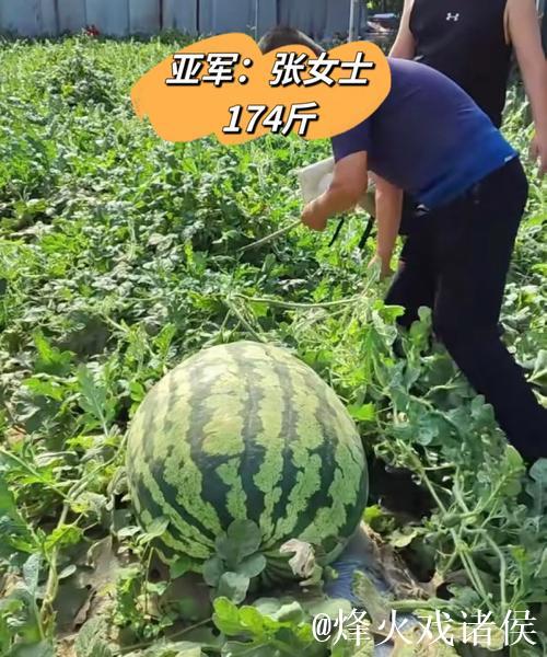 揭秘黑料吃瓜网热点背后的大瓜真相